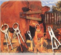 Sialkot Veterinary Health, Animal Health Products, Animal Health, Sialkot Animal Surgical Instruments, Animal Surgical Products, Trimming Knives, Castration Instruments, Hoof and Claws Instruments, Restraining Equipments, Veterinary Instruments, Veterinary Products, Veterinary health Products, Sialkot, Pakistan, PK